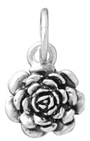 Charm Giovanni Raspini Mujer Charms in Plata 11839 - 11839